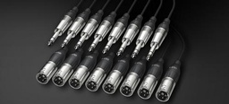 配信機器・PA機器・レコーディング機器 ALVA D-Sub25 to 8x XLR 3m RME Certified ショップ | Music EcoSystems STORE